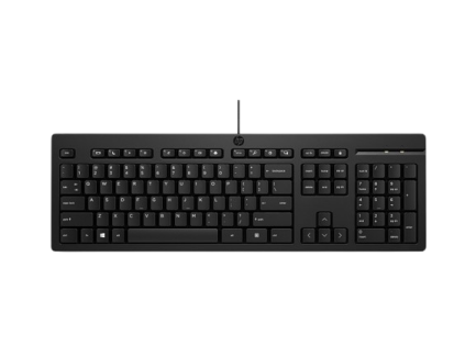 TECLADO USB HP 125 WD - INGLES - NEGRO - 266C9AA