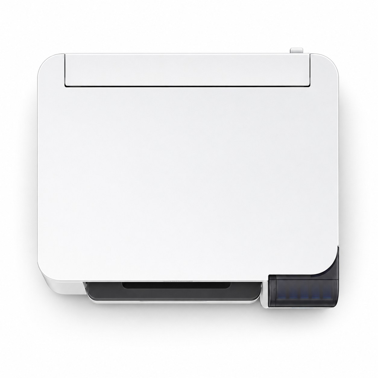 C11CJ80201 (6)